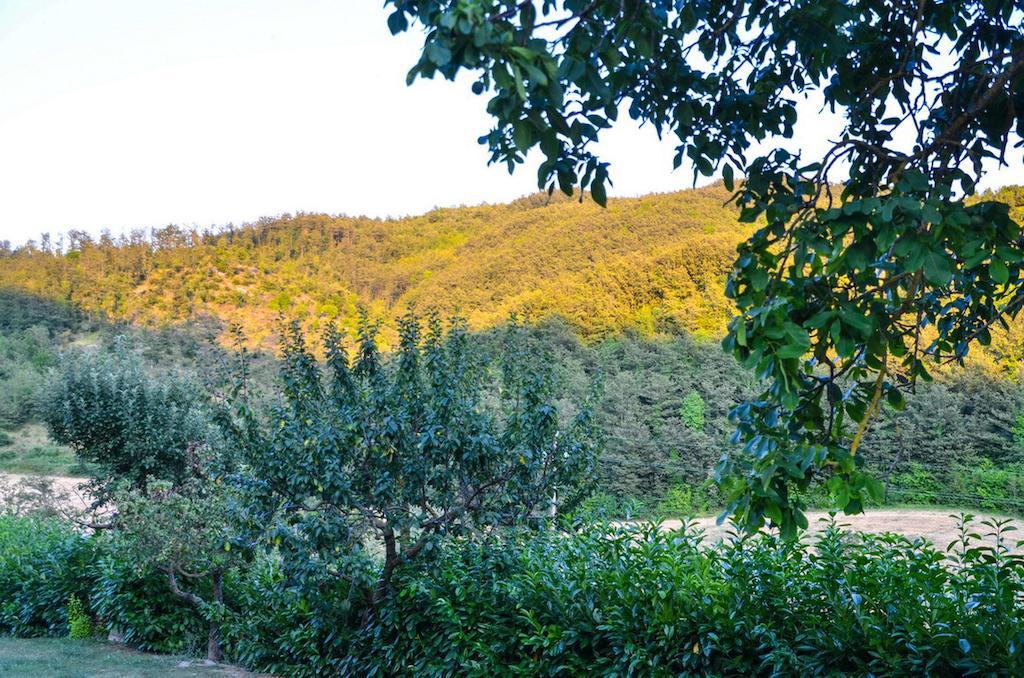 Agriturismo Cailuca Пьетралунга Экстерьер фото